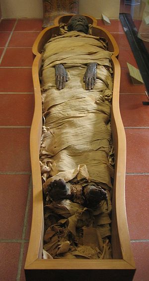 300px-Mummy_in_Vatican_Museums.jpg