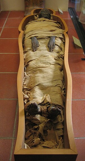 300px-Mummy_in_Vatican_Museums.jpg