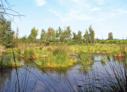 Screenshot 2026-04-09 152958.png