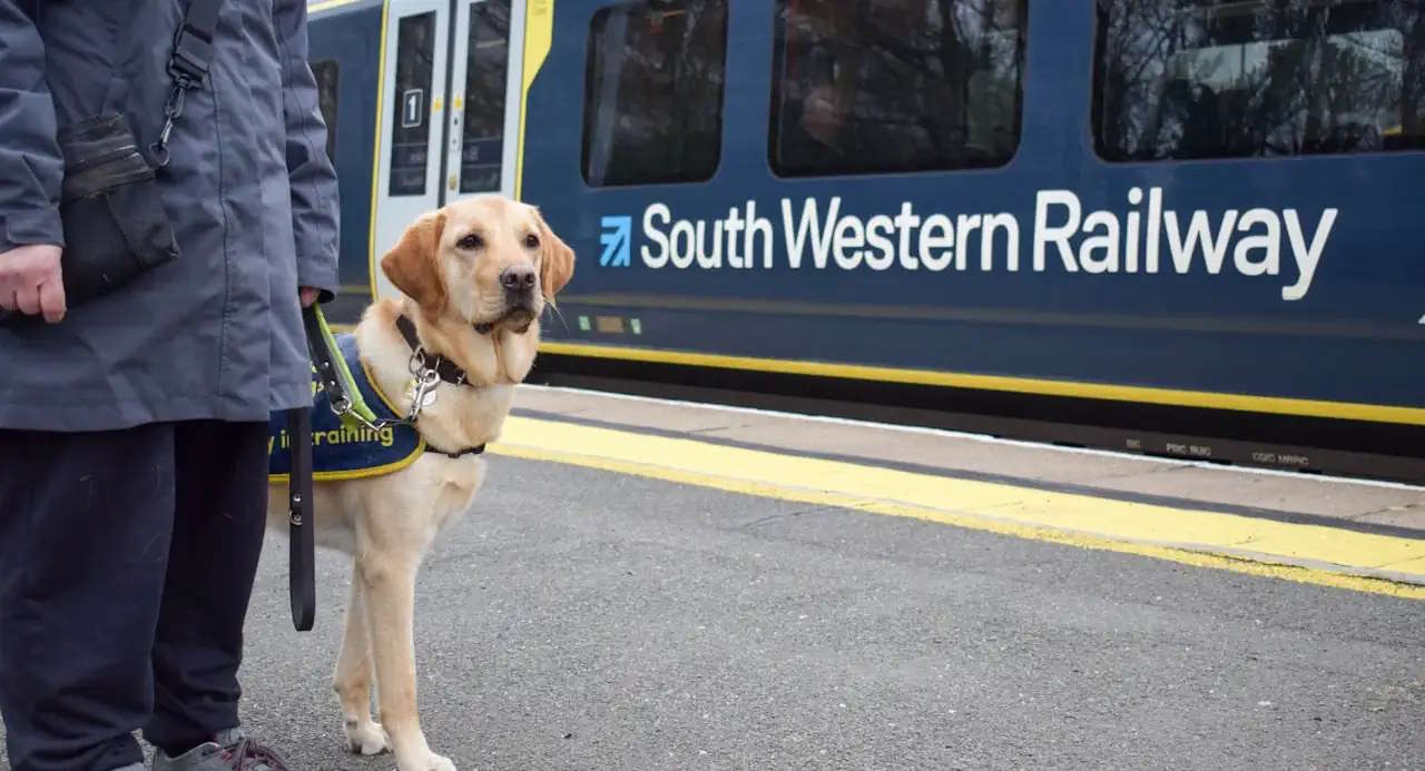 train.jpg