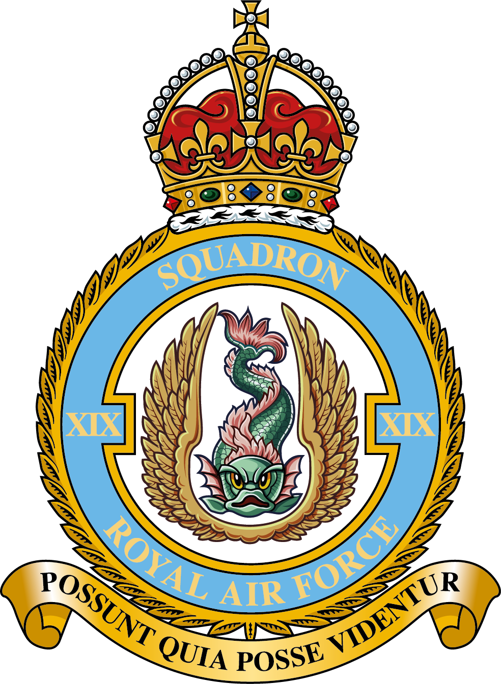 19 SQN [king].png