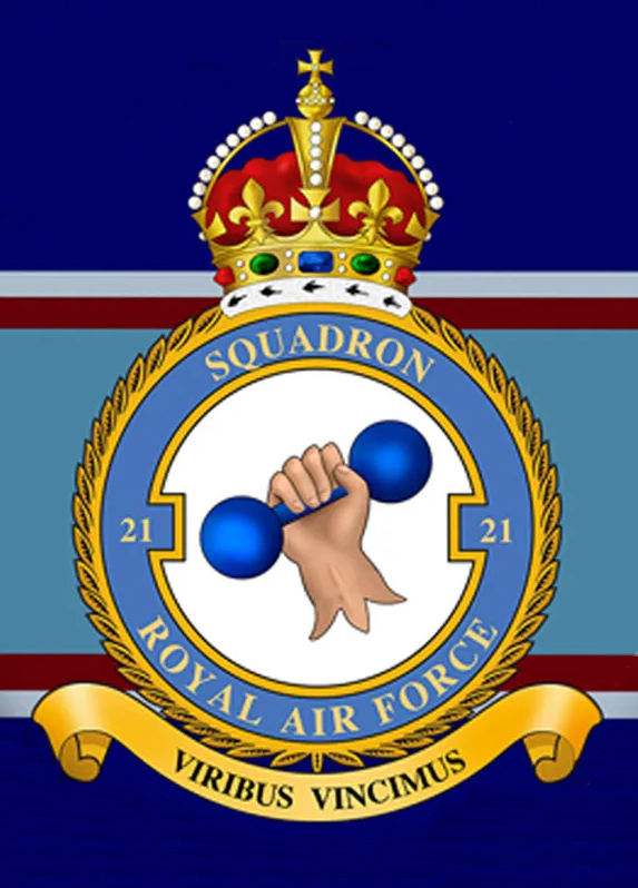 21 Sqn [king old].png