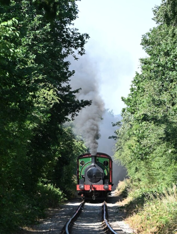 train.jpg