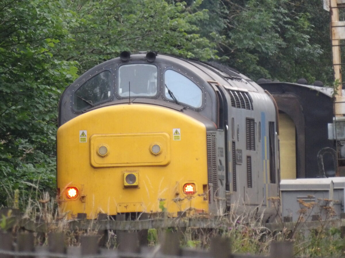 train.jpg