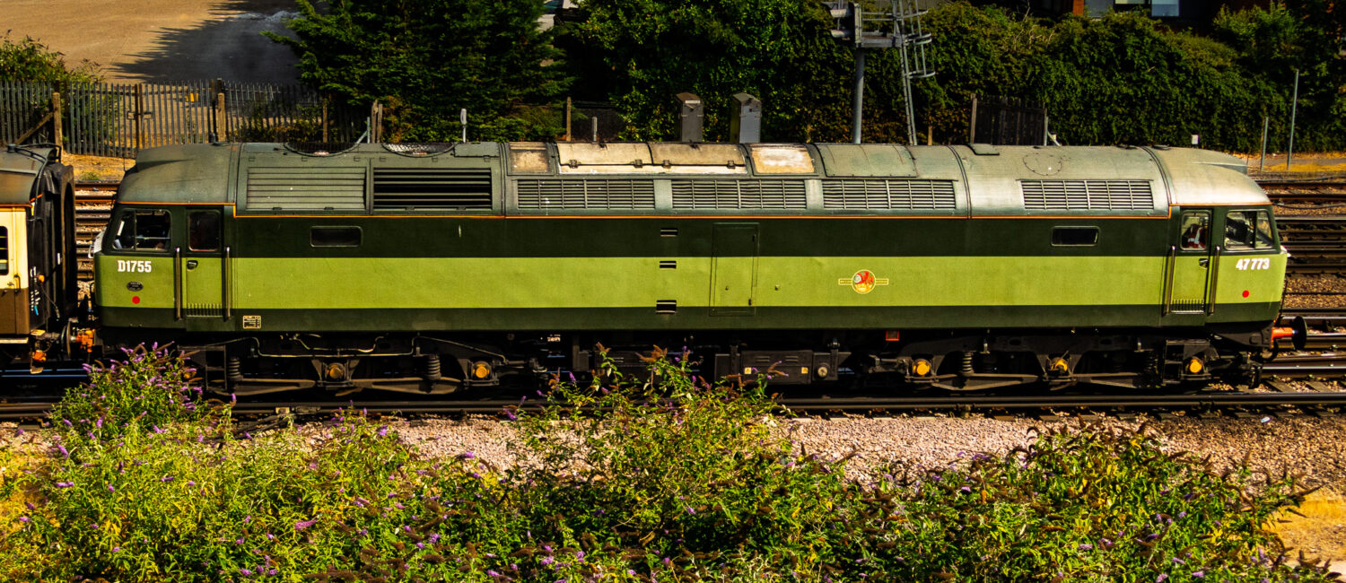 train.jpg