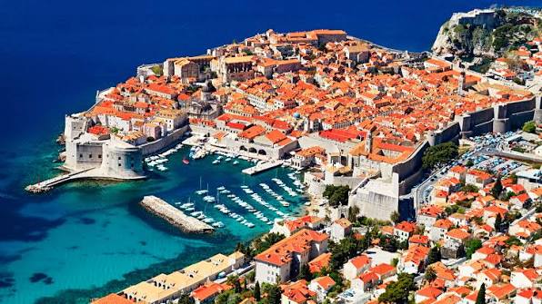 1000008880.jpg