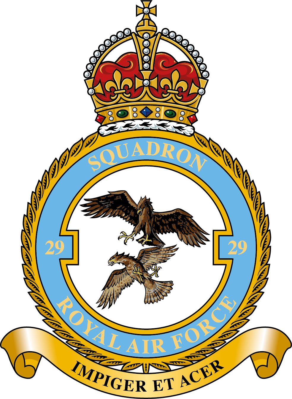 29 Sqn [king].png