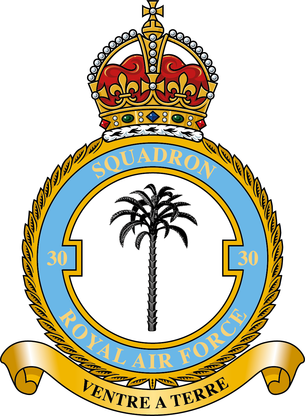 30 Sqn [king].png