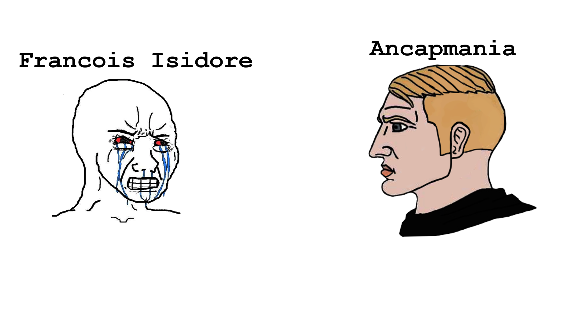 facts.png