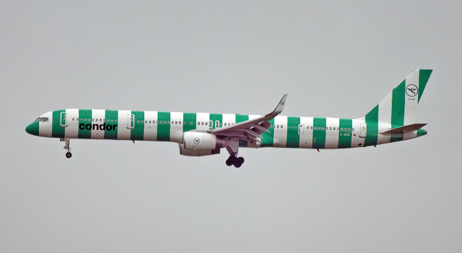 plane.jpg