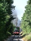 train.jpg