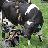moo-cows with guns