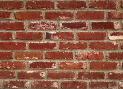 brick_wall11254935255.jpg