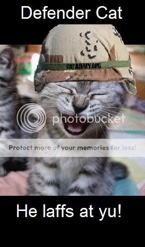 defendercat.jpg