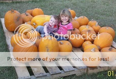 pumpkins.jpg