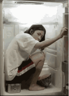 hiding-fridge.gif