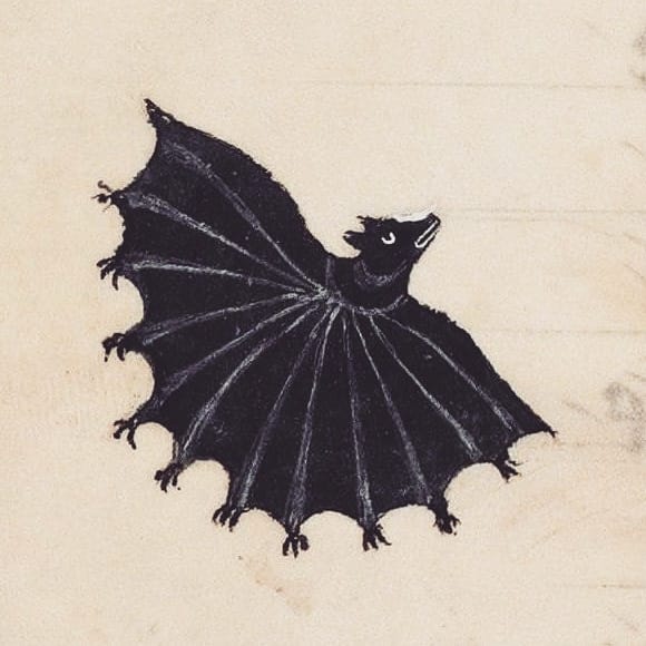 bat-with-multiple-hands.jpg