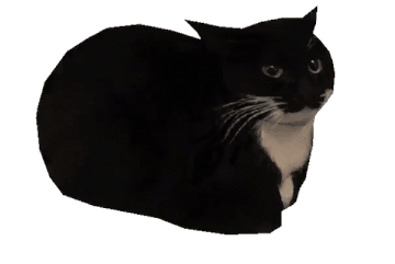 IMG-3376.gif