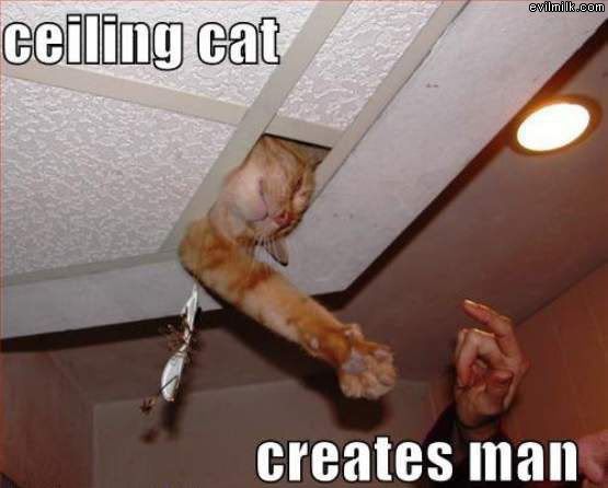 Ceiling_Cat.jpg