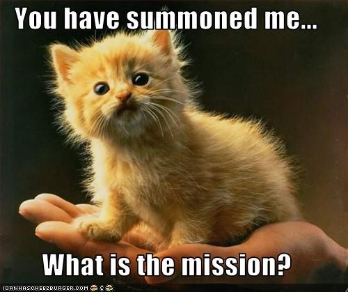 you-have-summoned-me-what-is-the-mission