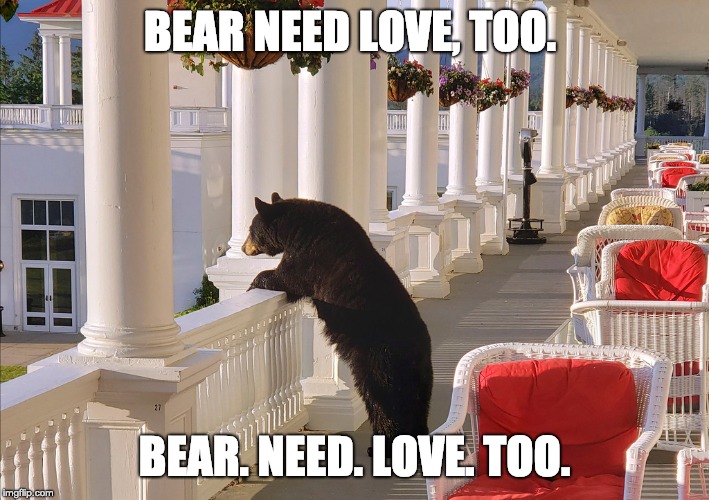 bearmeme1.jpg