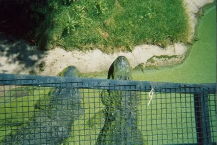 001_01_0001.jpg