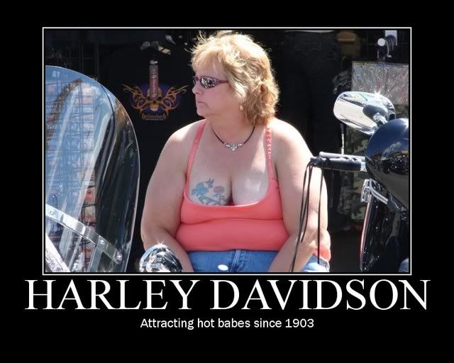 HarleyBabemotivational.jpg