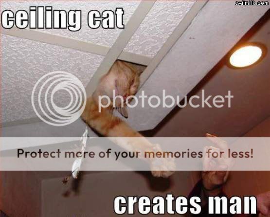 Ceiling_Cat.jpg