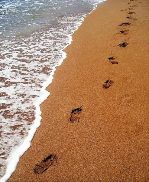 footprints.jpg