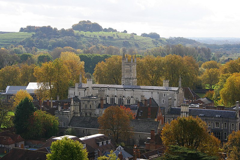 800px-St_Catherine%27s_Hill_and_Winchester_College_-_geograph.org.uk_-_2685606.jpg